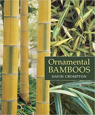 Ornamental Bamboos